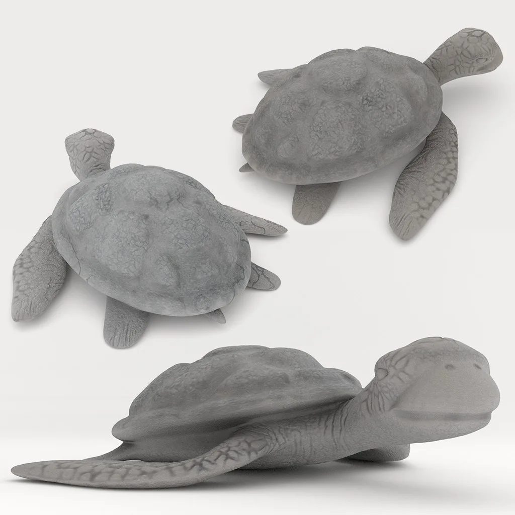 Three grey, textured sea turtles seen from different angles on a light background.