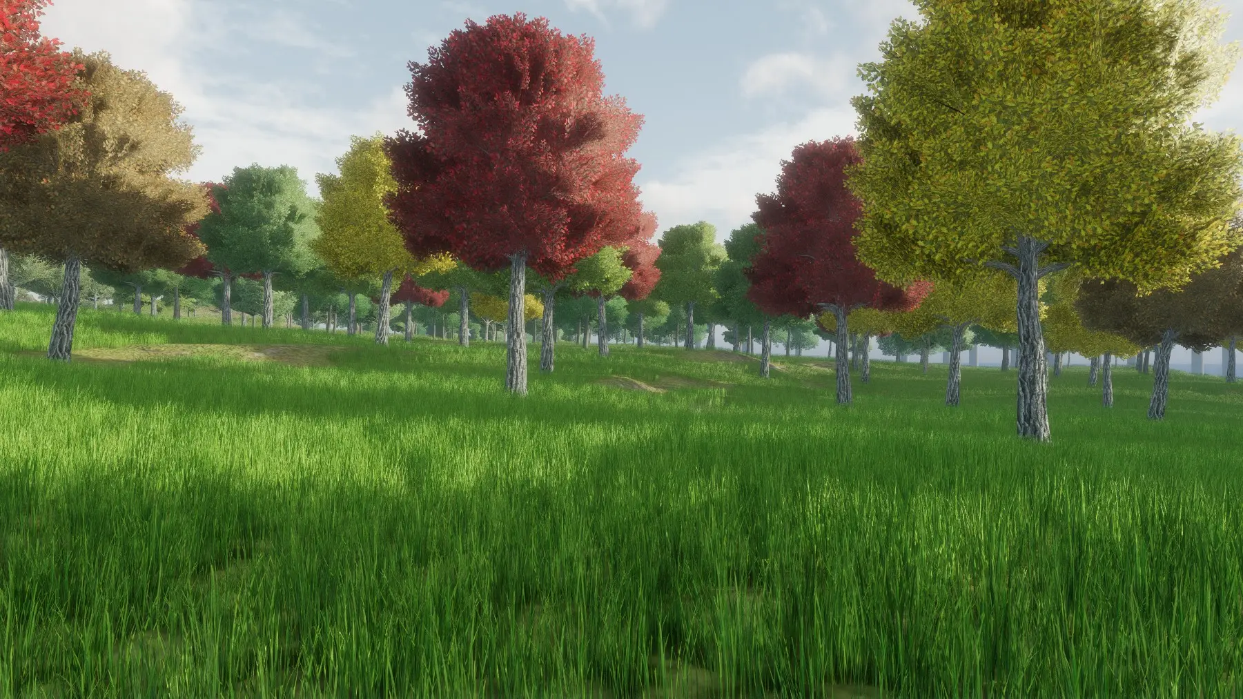 A grassy meadow with red, yellow and green autumn trees stretching into the distance.