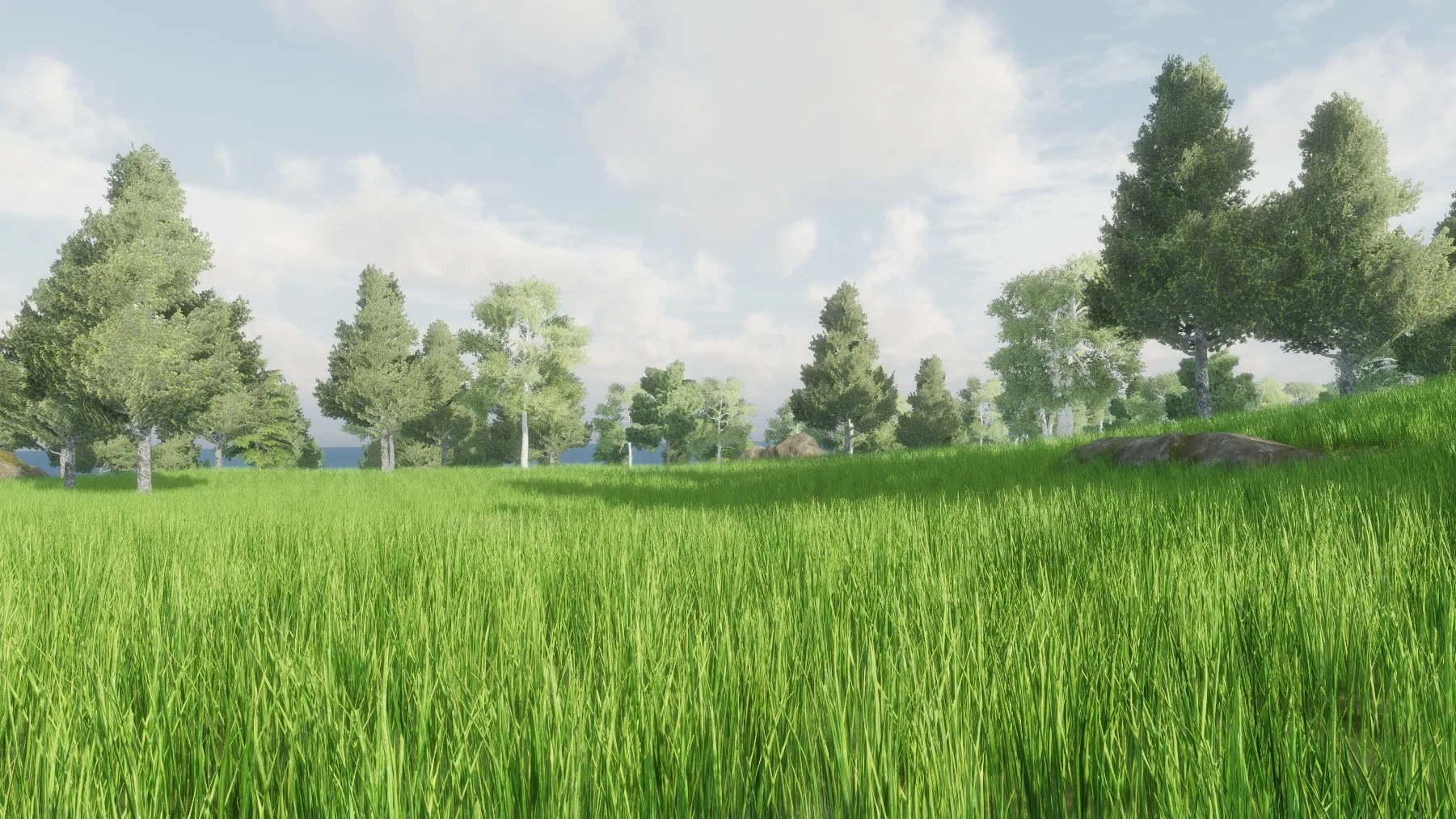 Tall green grass in the foreground and scattered trees beyond, under a cloudy sky.
