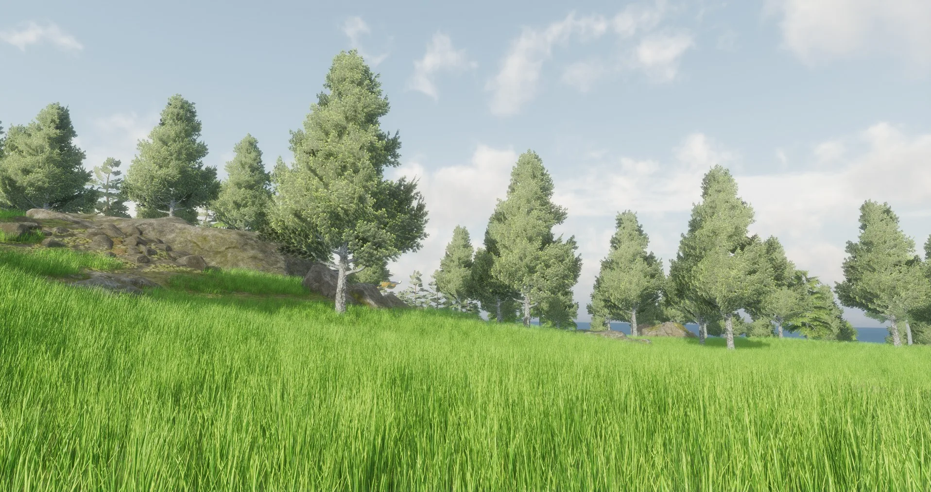 A grassy hillside with a rocky outcrop and a line of pine trees against a blue sky.