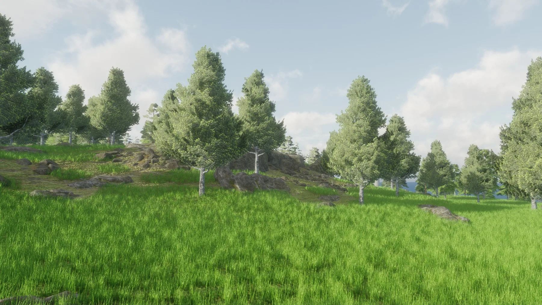 Pine trees and rocks on a grassy slope with clouds overhead.