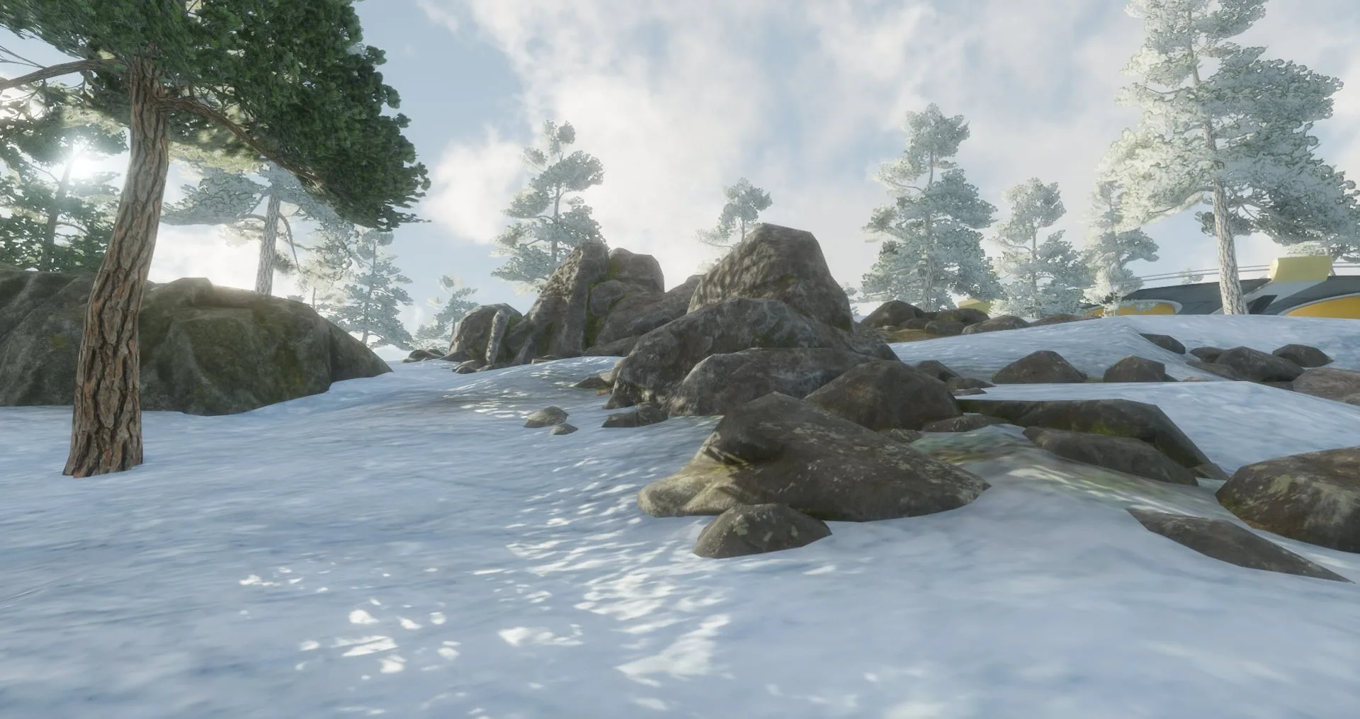 Snow-covered ground with dark rocks and pine trees dusted with snow, in sunlight.