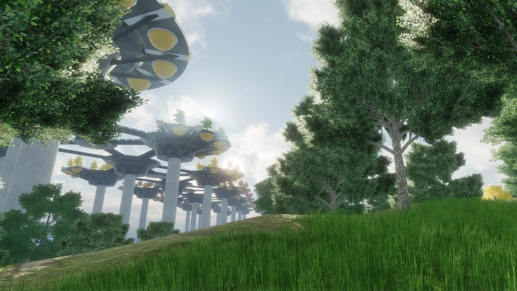Looking up a grassy slope at round platforms on tall pillars above the trees.