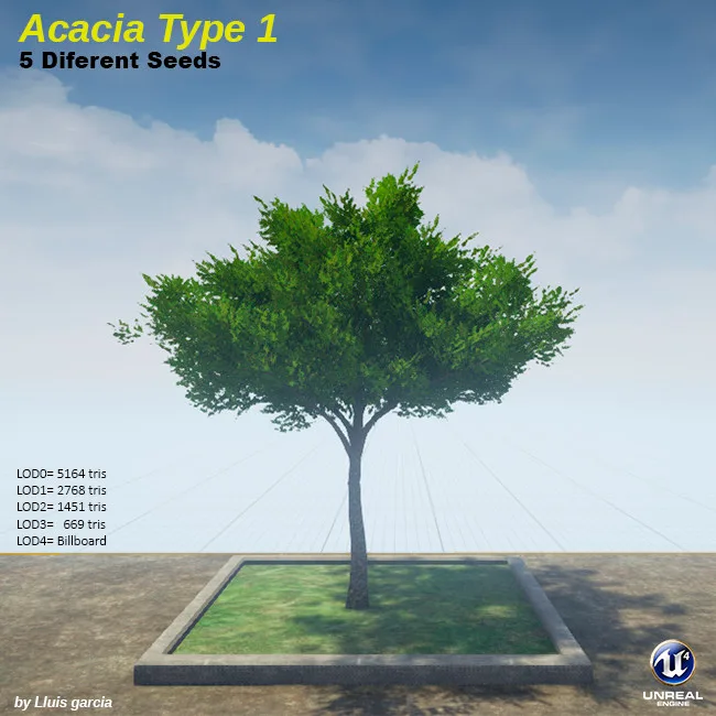 Tree card: Acacia Type 1, five different seeds. A low, spreading green acacia with a flat, wide crown. It stands on a grass plot against a blue sky, with triangle counts for each level of detail.