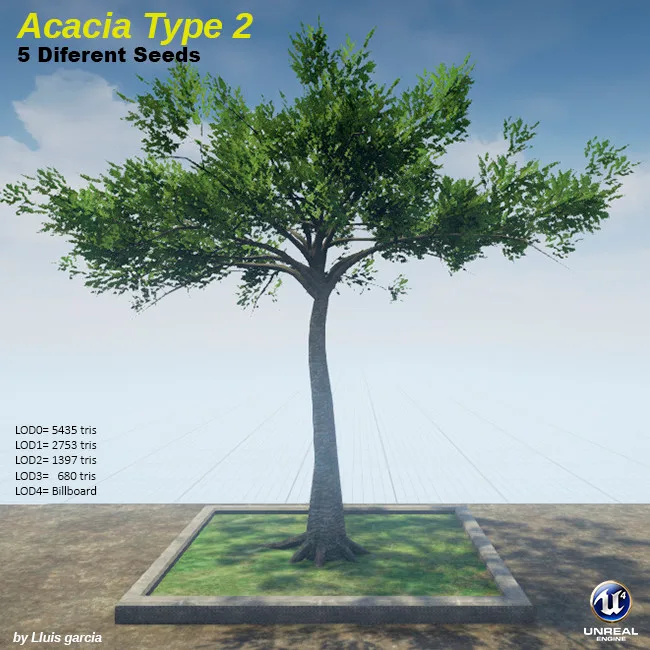 Tree card: Acacia Type 2, five different seeds. A tall acacia with a thin trunk and a wide, open crown of branches. It stands on a grass plot against a blue sky, with triangle counts for each level of detail.