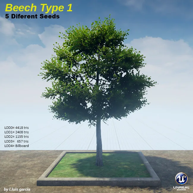 Tree card: Beech Type 1, five different seeds. A tall beech with a narrow, layered crown of dark green leaves. It stands on a grass plot against a blue sky, with triangle counts for each level of detail.