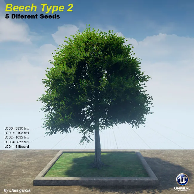 Tree card: Beech Type 2, five different seeds. A beech with a rounded, dense crown. It stands on a grass plot against a blue sky, with triangle counts for each level of detail.