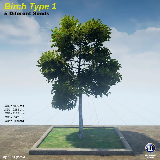 Tree card: Birch Type 1, five different seeds. A birch with a pale trunk and clustered olive-green leaves. It stands on a grass plot against a blue sky, with triangle counts for each level of detail.