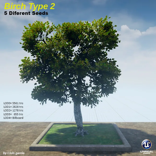 Tree card: Birch Type 2, five different seeds. A birch with a pale, branching trunk and a wide, clustered crown. It stands on a grass plot against a blue sky, with triangle counts for each level of detail.