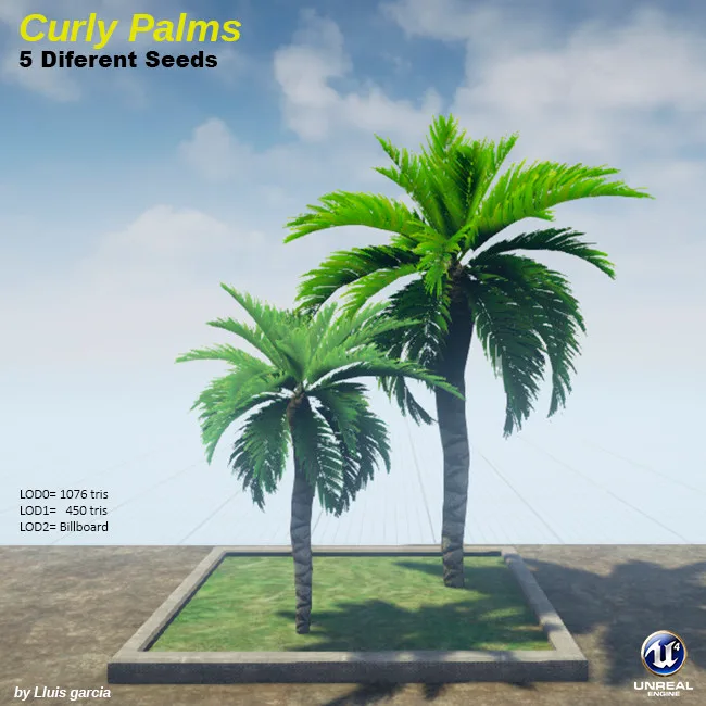 Tree card: Curly Palms, five different seeds. Two palms of different heights, with curling green fronds, stand on a grass plot against a blue sky, with triangle counts for each level of detail.