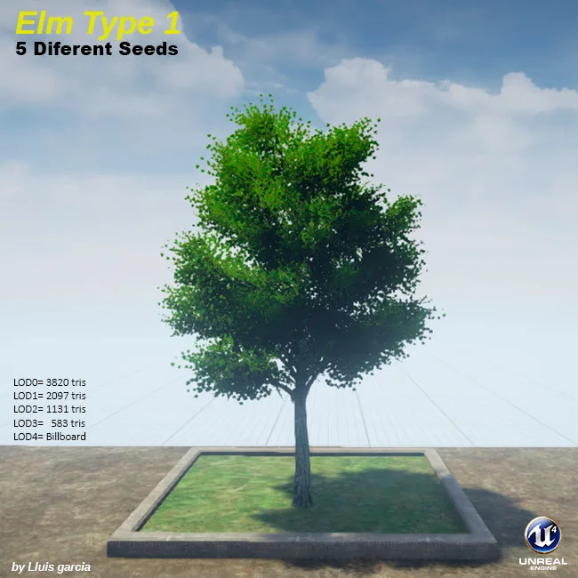 Tree card: Elm Type 1, five different seeds. An elm with a rounded, dense green crown. It stands on a grass plot against a blue sky, with triangle counts for each level of detail.