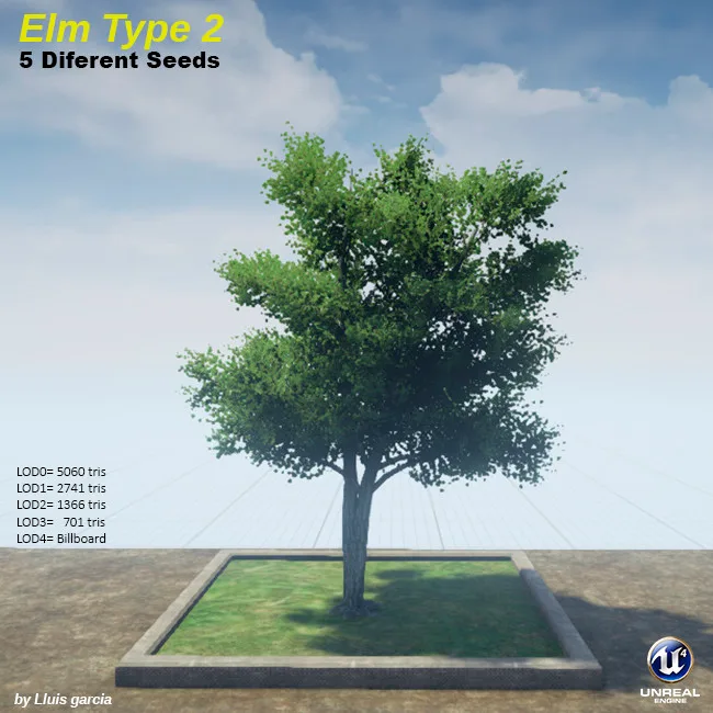 Tree card: Elm Type 2, five different seeds. An elm with a broad, rounded green crown. It stands on a grass plot against a blue sky, with triangle counts for each level of detail.
