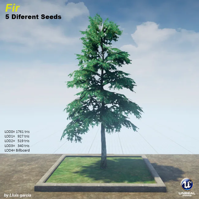 Tree card: Fir, five different seeds. A tall fir with a narrow cone shape and blue-green layered branches. It stands on a grass plot against a blue sky, with triangle counts for each level of detail.