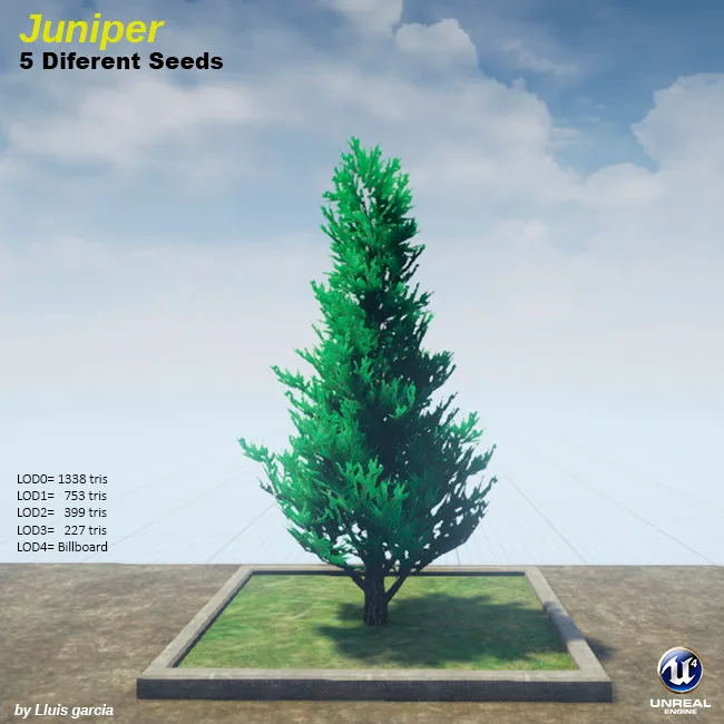 Tree card: Juniper, five different seeds. A narrow, cone-shaped bright green juniper. It stands on a grass plot against a blue sky, with triangle counts for each level of detail.