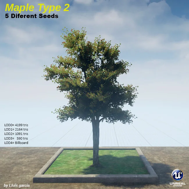 Tree card: Maple Type 2, five different seeds. A maple with an uneven crown of olive and brown leaves. It stands on a grass plot against a blue sky, with triangle counts for each level of detail.