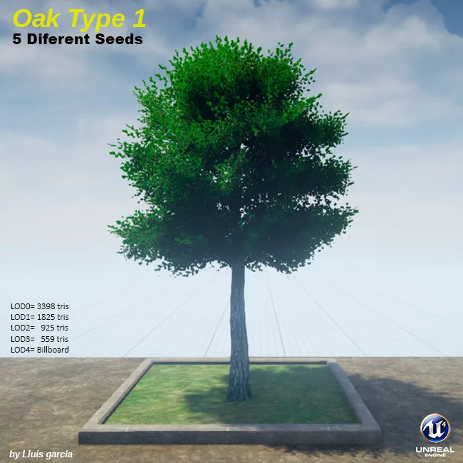 Tree card: Oak Type 1, five different seeds. An oak with a broad, dense dark green crown and a thick trunk. It stands on a grass plot against a blue sky, with triangle counts for each level of detail.