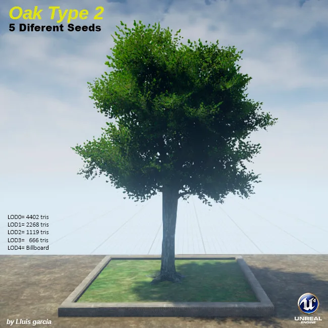 Tree card: Oak Type 2, five different seeds. An oak with a wide, dense dark green crown. It stands on a grass plot against a blue sky, with triangle counts for each level of detail.