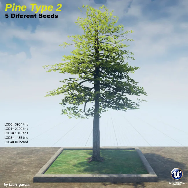 Tree card: Pine Type 2, five different seeds. A pine with an open, light yellow-green crown on a straight trunk. It stands on a grass plot against a blue sky, with triangle counts for each level of detail.