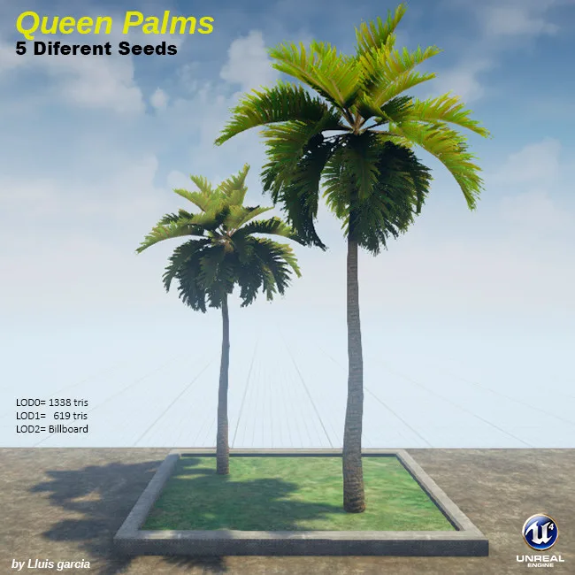 Tree card: Queen Palms, five different seeds. Two palms of different heights with feathery green fronds stand on a grass plot against a blue sky, with triangle counts for each level of detail.