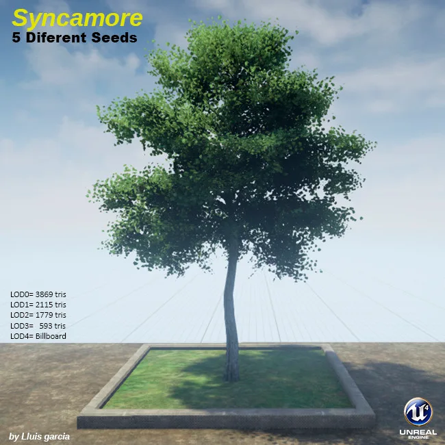 Tree card: Sycamore, five different seeds. A sycamore with a wide, open crown of dark green leaves. It stands on a grass plot against a blue sky, with triangle counts for each level of detail.