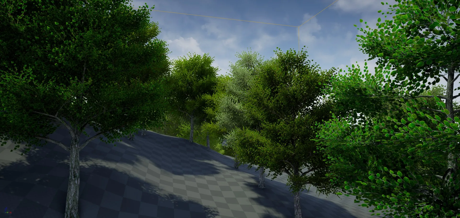 Close view of green trees with dense foliage on a checkered grey slope under a blue sky.