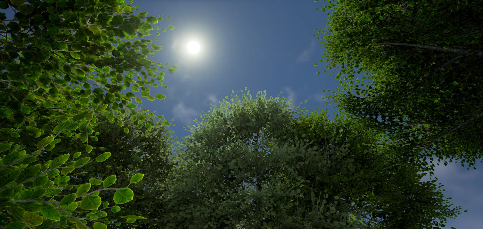 Looking up through a leafy tree canopy towards the bright sun in a blue sky.